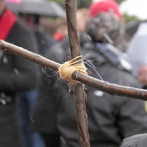 aktualność: Droga Krzyżowa ulicami Lanckorony 